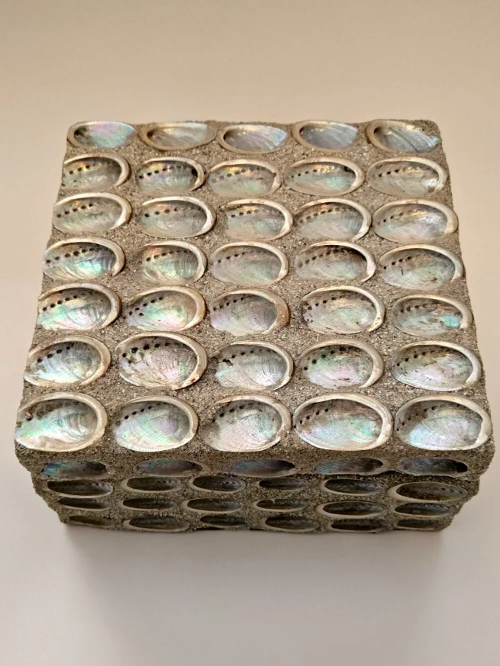Abalone Shell Decorative Keepsake Display Box